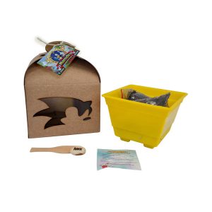 Kit Cultivo Infantil Personalizado
