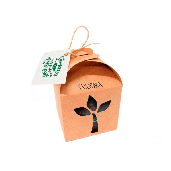 Kit Cultivo Kraft Personalizado