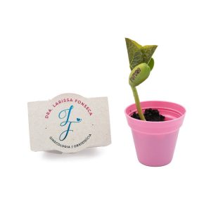 Kit Cultivo Plantio Personalizado