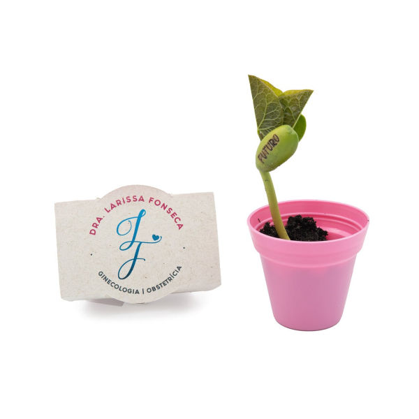 Kit Cultivo Plantio Personalizado