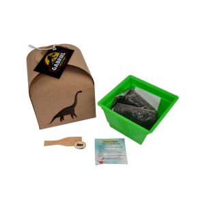 Kit Cultivo semente Brindes Personalizado