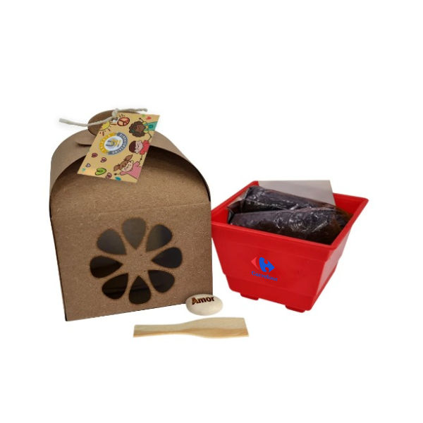 Kit Cultivo semente Personalizado