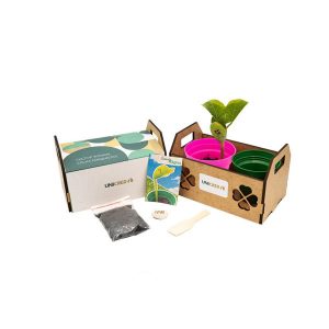 Kit Plantio Horta Personalizado