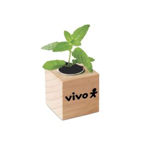 Kit Plantio com Vaso Promocional