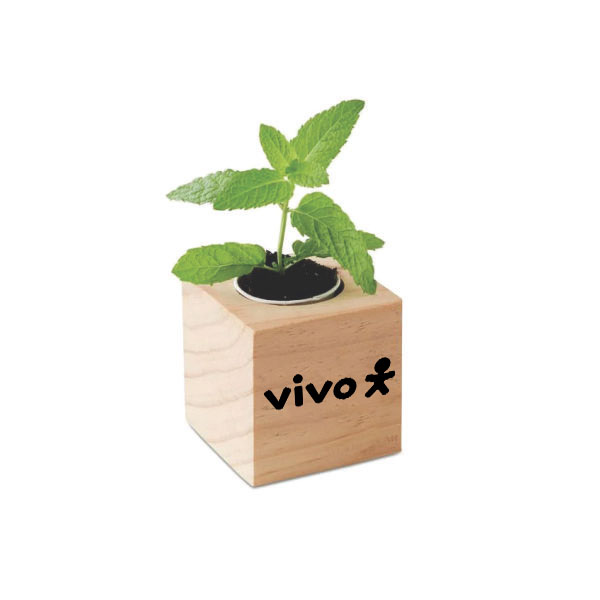 Kit Plantio com Vaso Promocional