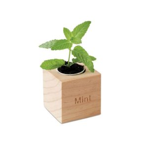 Kit Plantio com Vaso Personalizado