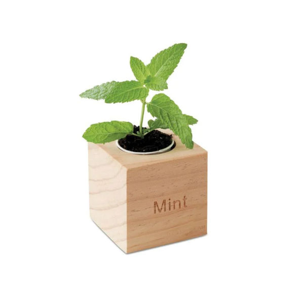 Kit Plantio com Vaso Personalizado