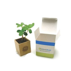 Mini Kit Plantio em Papel